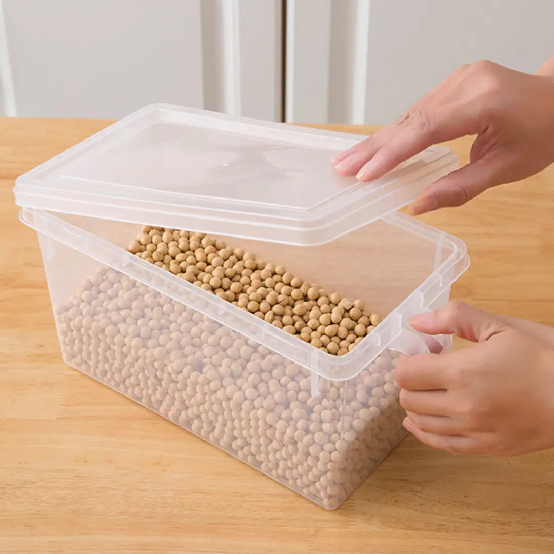 ORGANIZADOR CON TAPA TRANSPARENTE X3