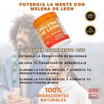 Potenciador Cerebral MELENA DE LEON™  Hongo Medicinal